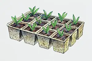 Cultivated Prints: Biodegradable seedbed