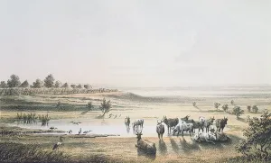 The Borders of Chad in 1851, from Travels and Discoveries in North The Borders of Chad in 1851, from Travels and Discoveries in North