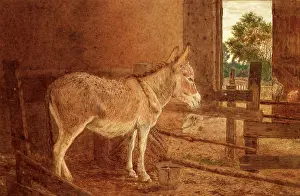 School Spanish Prints: A Brown Study
