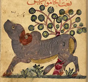 Bison Prints: Buffalo