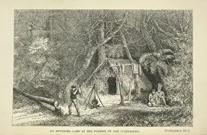 A camp in the forest