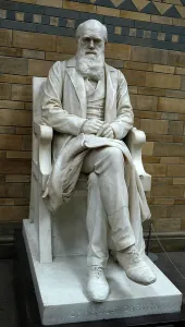 21st Century Prints: Charles Darwin, 2000