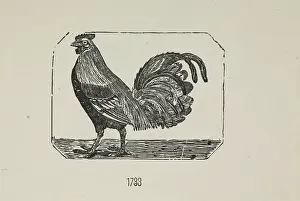 Cockerel Prints: A cockerel