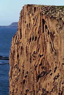 Cliff Top Prints: Columnar basalt formations along, Cliffs of Staffa, Inner Hebrides, Scotland, UK (photo)
