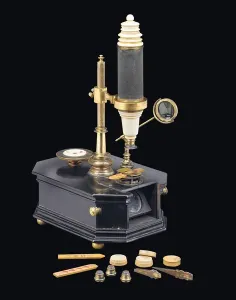 Compound box-type microscope, c. 1775 (wood, metal & glass) (see also 1113960-1)