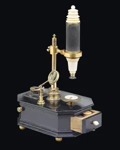Magnification Prints: Compound box-type microscope, c. 1775 (wood, metal & glass) (see also 1113959-61)