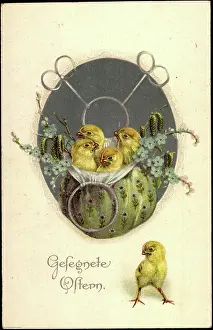 Daffodils Prints: Congratulations Easter, chick in a bag