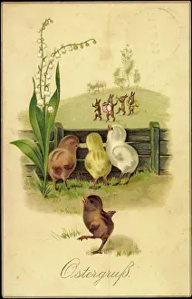 Daffodils Prints: Congratulations Easter, chicks look at rabbit chapel