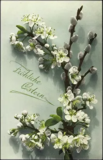 Daffodils Prints: Congratulations Easter, fruit blossoms and willow bibs