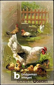 God Paske Prints: Congratulations Easter, hen with her chicks