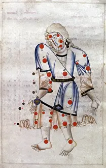 Ciel Prints: Constellation of Aquarius