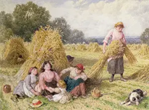 Sheaves Prints: The Cornfield