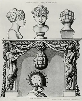 Nails Prints: Craniological map of the head and the compression cap, caricature of phrenology