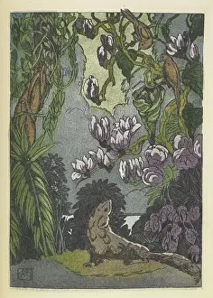 A creature in the jungle