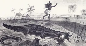 A Crocodile Snatches a Child from an African Village (etching) A Crocodile Snatches a Child from an African Village (etching)