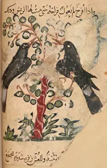 Crow Prints: Two crows
