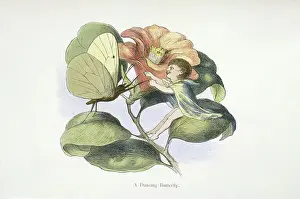 Fictional Places Prints: A dancing butterfly