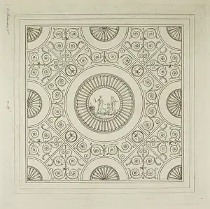 Viewpoint Prints: Design for a ceiling
