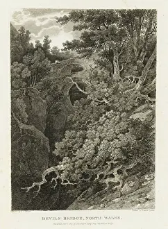 Devil's Bridge, North Wales (etching)