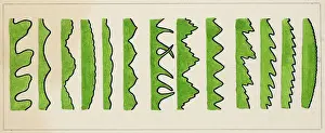 Variation Prints: Different types of leaf edges