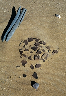 Clay Prints: Discovery of Paleolithic artifacts, Tenere desert, Niger