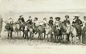 Prints of BAL68293 Donkeys on the Beach (postcard); 8.6x13.6 cm; Private Collection Images Dated 2025 December: Donkeys on the Beach (postcard)