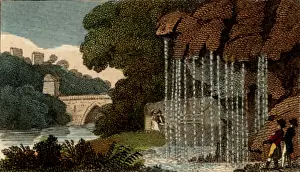 Limestone Prints: Dropping Well or Petrifying Spring
