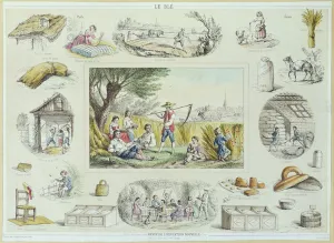 Educational illustration of corn, c.1860-70 (colour engraving) Educational illustration of corn, c.1860-70 (colour engraving)