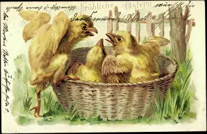 1904 Prints: Embossing congratulations Easter, chicks quarrel in the basket