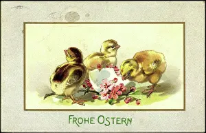 Daffodils Prints: Embossing congratulations Easter, chick hatching