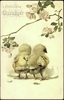Daffodils Prints: Embossing Congratulations Easter, Two Chicks Heave