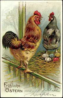 Daffodils Prints: Embossing Litho Congratulations Easter, Chicken laying Easter Eggs