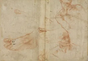 Preparatory Prints: Figure studies for the Sistine Ceiling, 1510-11 (red chalk on paper)