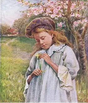 Daffodil Prints: The first daffodils of spring (lithograph)