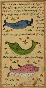 Three fish