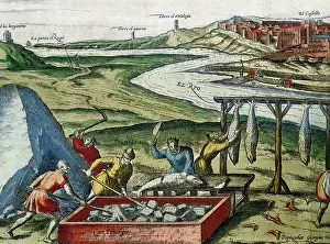 Dead Animal Prints: Fish processing in Conil de la Frontera