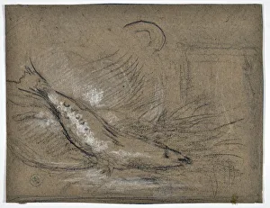 Stanislas Torrents Y De Amat Prints: Fish study (drawing)