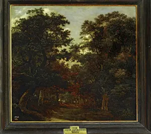 Forest Areas Prints: Forest