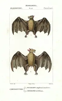 Stipple Prints: Fruit bats