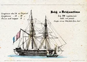 Geography Comparative Statistical Framework of the Powers of Europe, with the main models of ships of the Navy: detail of the description of the Brig, or Brig from 20 guns all on deck, 1853 ( litho colour)