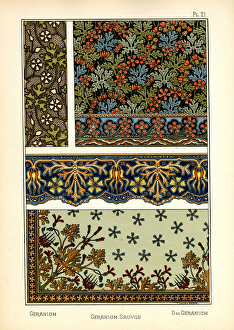 The Geranium (colour litho)