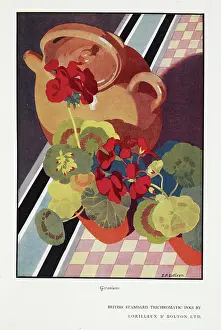 Geraniums