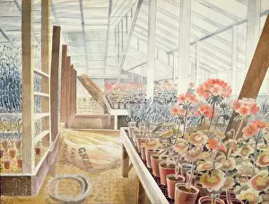 Flower Pots Prints: Geraniums and carnations