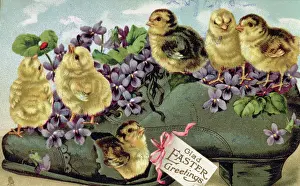 Chicks Prints: Glad Easter Greetings (postcard)