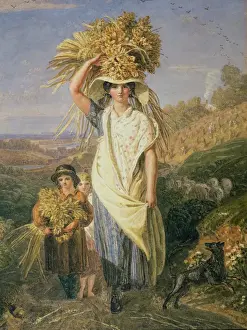 The Gleaners