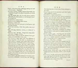 Dictionarium Prints: GOL and GOR