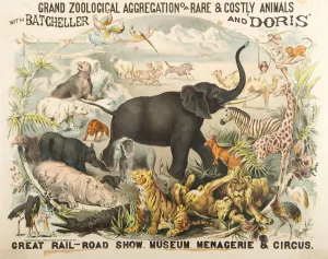 Grand Zoological Aggregation of Rare and Costly Animals with Batcheller and Doris Grand Zoological Aggregation of Rare and Costly Animals with Batcheller and Doris