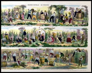 The Grape Harvest, Imagerie de Pont-a-Mousson (colour litho) The Grape Harvest, Imagerie de Pont-a-Mousson (colour litho)