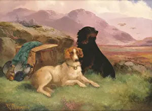 John Massey Wright Prints: Gundogs (one of a pair)