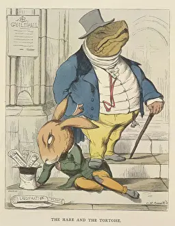 Beaver Prints: The hare and the tortoise